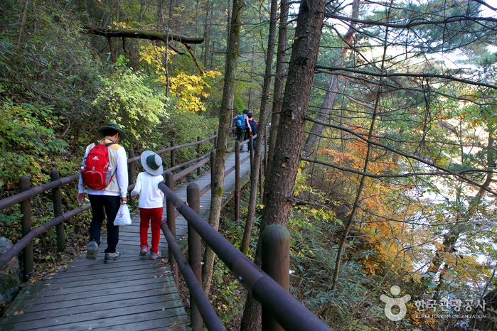 [慶尚南道] 伽倻山聽音路(가야산 소리길)