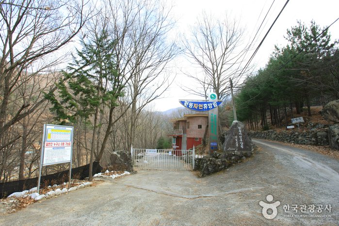 [慶尚南道] 院洞自然修養林(원동자연휴양림)