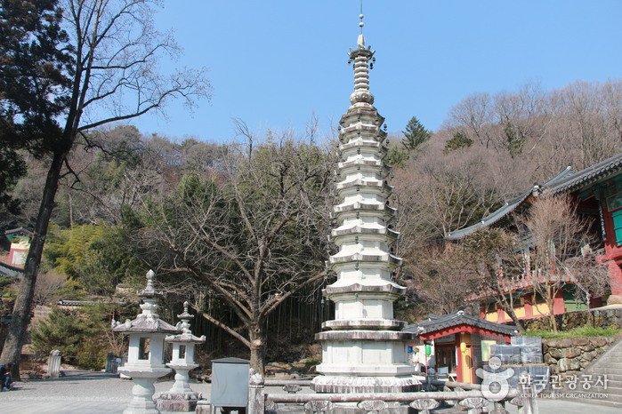 [慶尚南道] 雙磎寺(河東)(쌍계사(하동))