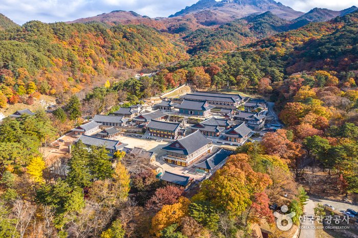 [慶尚南道] 海印寺(陝川)(해인사(합천))