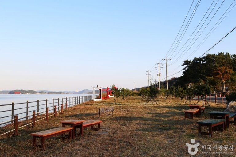 [慶尚南道] 昌浦海岸路(창포 해안길)