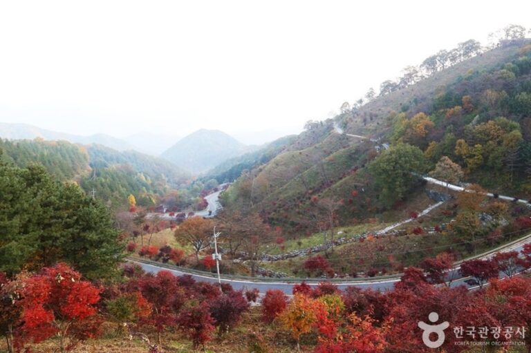 [慶尚南道] 通往智異山路(지리산 가는길)