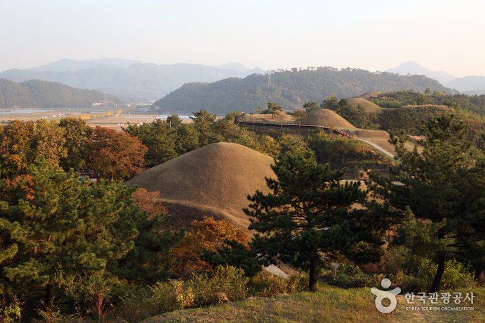 [慶尚南道] 咸安末伊山古墳群(함안 말이산 고분군)