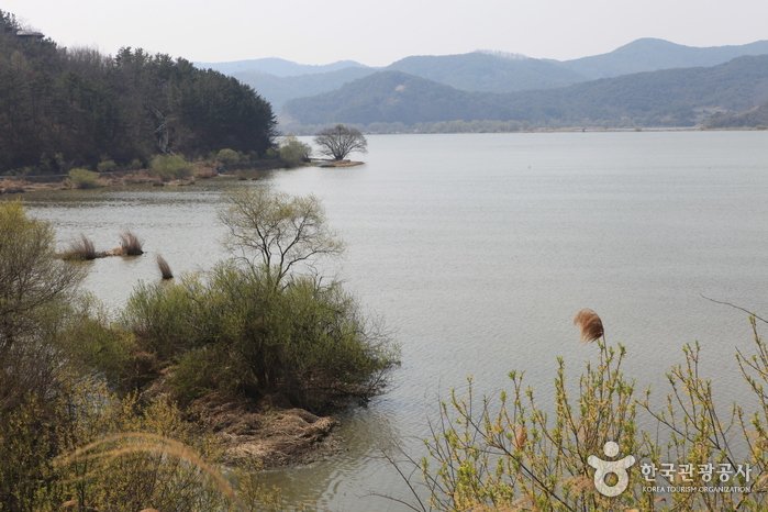[慶尚南道] 昌寧牛浦沼(창녕 우포늪)
