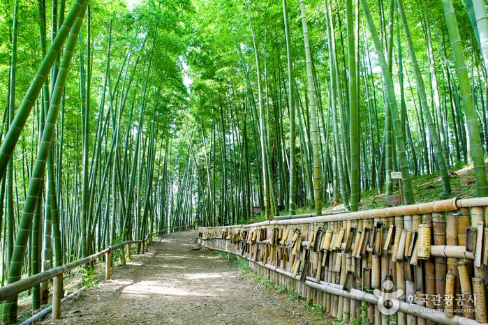 [慶尚南道] 巨濟孟宗竹主題公園(거제맹종죽테마공원)