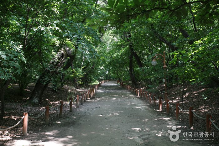 [慶尚南道] 上林公園(상림공원)