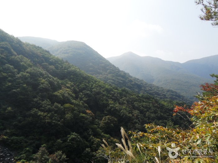 [慶尚南道] 迦智山道立公園(密陽)(가지산도립공원(밀양))