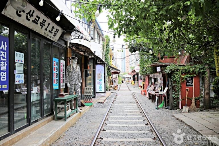[全羅北道] 京巖洞鐵道村(경암동 철길마을)