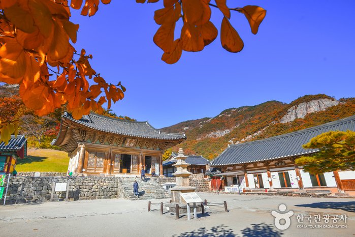 [全羅北道] 來蘇寺(扶安)(내소사(부안))