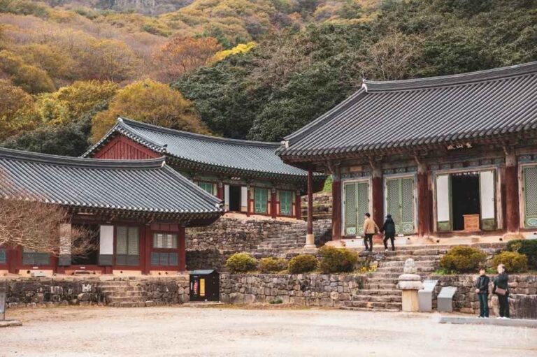 [全羅北道] 禪雲寺(高敞)(선운사(고창))
