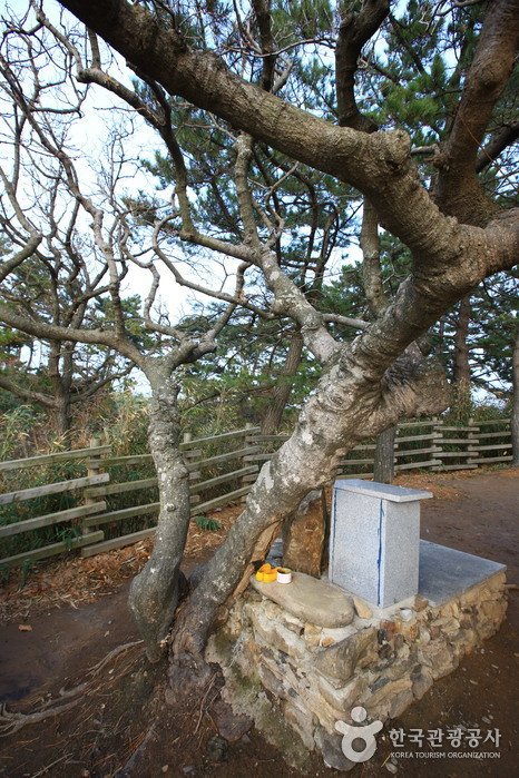[全羅北道] 水城堂(수성당)