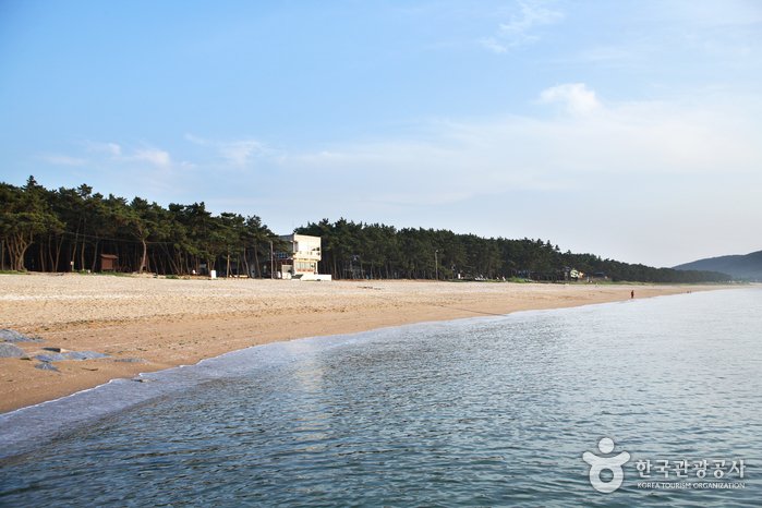 [全羅北道] 故沙浦海水浴場(고사포해수욕장)