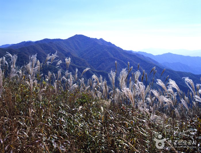 [全羅北道] 長安山郡立公園(장안산군립공원)