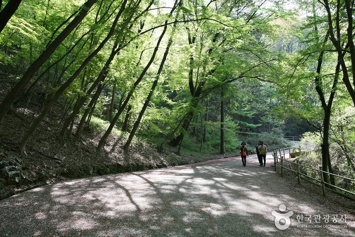 [全羅北道] 完山七峰(完山公園)(완산칠봉(완산공원))