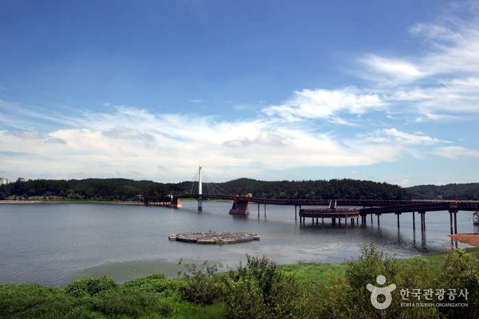 [全羅北道] 銀波湖水公園(銀波國民旅遊區)(은파호수공원(은파국민관광지))