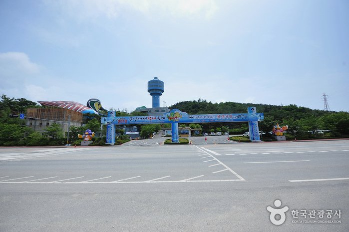 [全羅北道] 錦江候鳥眺望臺(금강철새조망대)