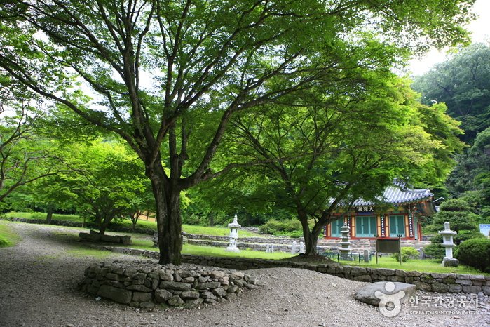 [全羅北道] 剛泉寺(淳昌)(강천사(순창))