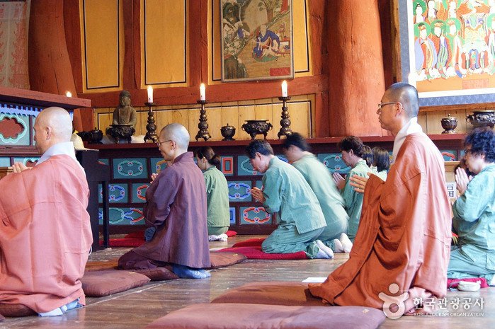 [全羅北道] 禪雲寺山寺體驗(선운사 산사체험)