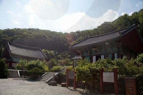 [全羅北道] 安國寺(茂朱)(안국사(무주))
