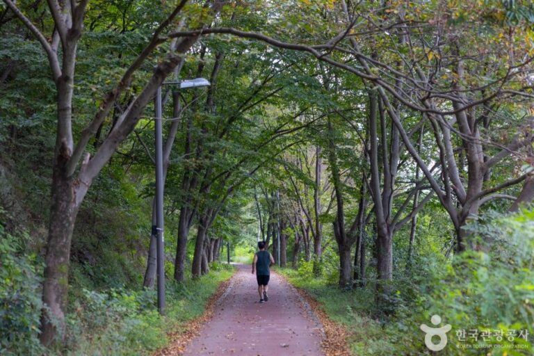 [全羅北道] 吹風路(바람쐬는길)