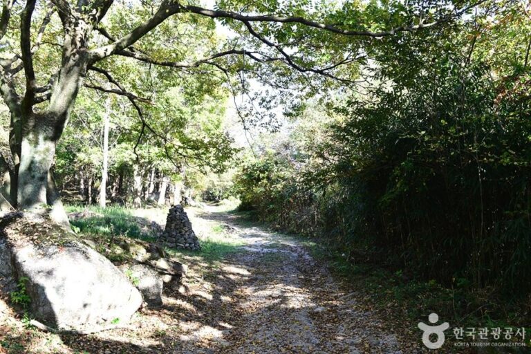 [全羅北道] 高山(고산)