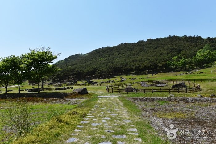 [全羅北道] 高敞支石墓遺跡[UNESCO世界文化遺產](고창 고인돌 유적 [유네스코 세계문화유산])