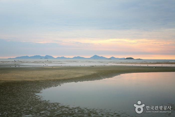 [全羅北道] 冬湖海水浴場(동호해수욕장)