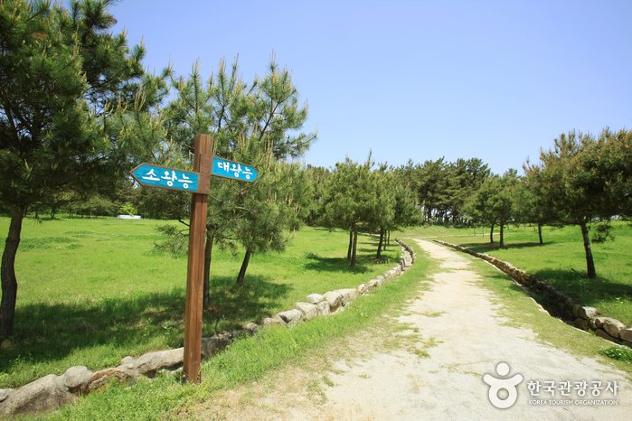 [全羅北道] 益山雙陵(익산 쌍릉)