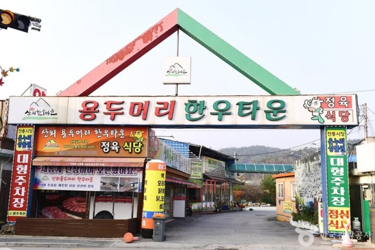 [全羅北道] 山外韓牛村(산외한우마을)