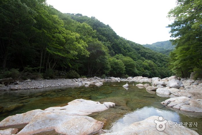 [全羅北道] 蛇谷溪谷(뱀사골계곡)