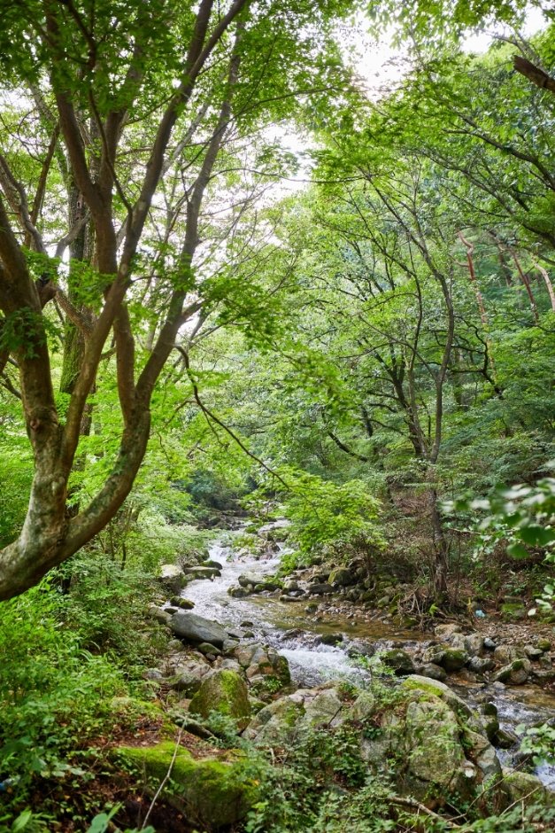 [全羅北道] 母岳山道立公園(모악산 도립공원)