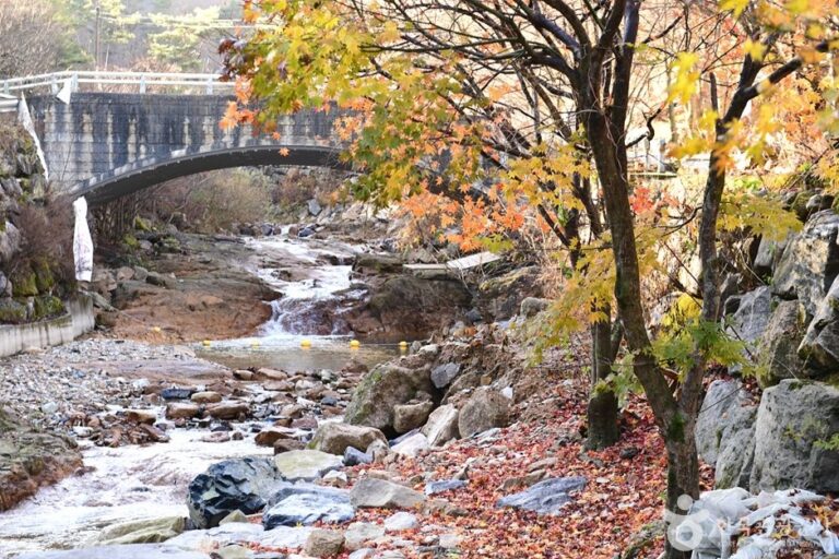[全羅北道] 東上雲長山溪谷(동상운장산계곡)