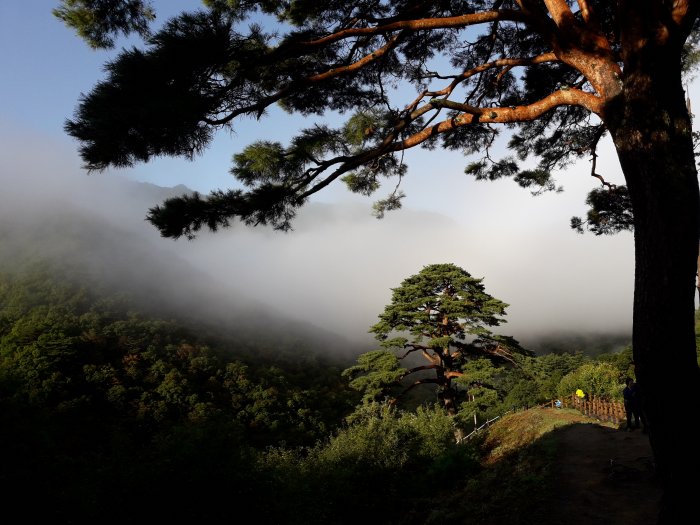 [全羅北道] 蛇谷臥雲村(뱀사골 와운마을)