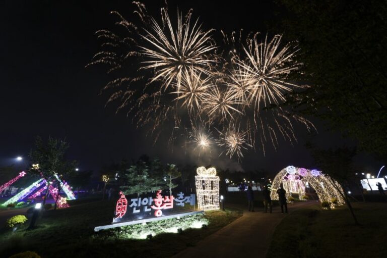 [全羅北道] 鎮安紅蔘節(진안홍삼축제)