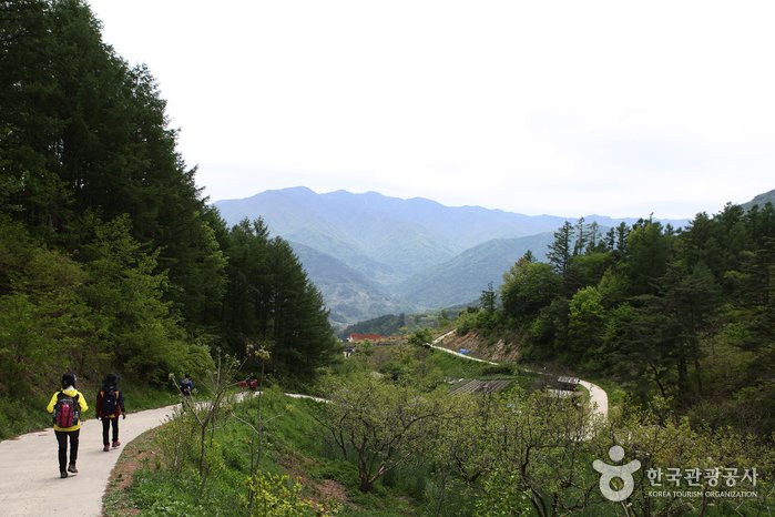 [全羅北道] [智異山步道路線]引月~金雞([지리산둘레길코스]인월~금계)