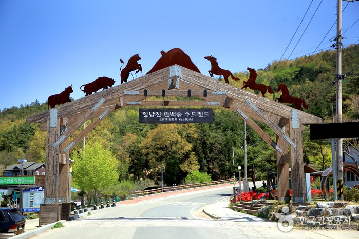 [全羅南道] 正南津扁柏森林樂園 (정남진 편백숲 우드랜드)