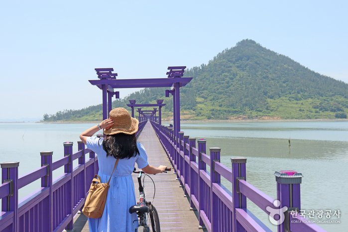 [全羅南道] 半月島·朴只島(반월도·박지도)