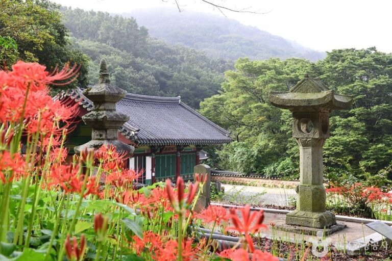 [全羅南道] 龍泉寺(咸平)(용천사(함평))