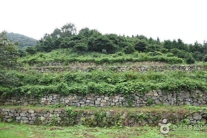 [全羅南道] 珍島龍藏城(진도 용장성)