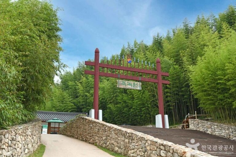 [全羅南道] 竹綠苑(죽녹원)