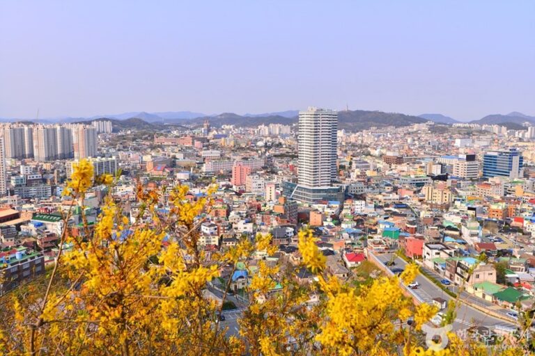 [全羅南道] 木浦觀光特區(목포 관광특구)