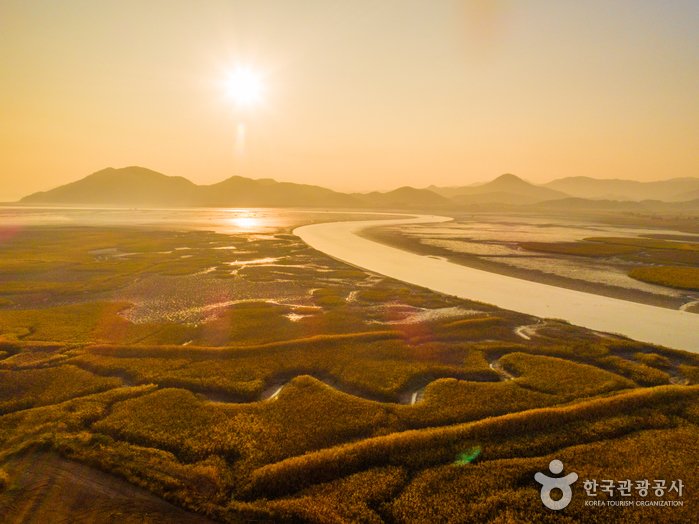 [全羅南道] 順天灣濕地(순천만습지)