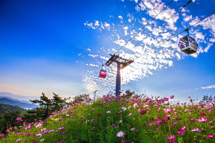 [全羅南道] 木浦海上纜車(목포 해상케이블카)