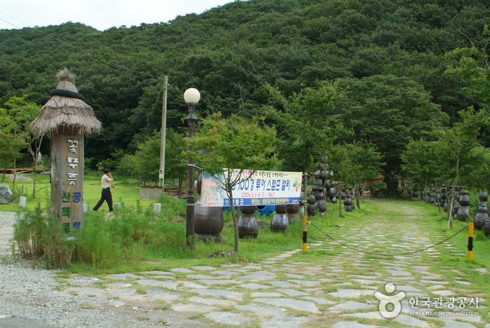 [全羅南道] 龍泉寺石蒜公園(용천사 꽃무릇공원)