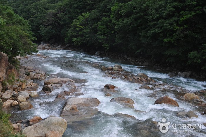 [全羅南道] 白雲山東谷溪谷(백운산 동곡계곡)