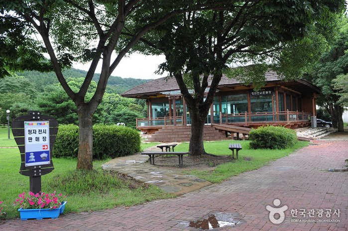 [全羅南道] 康津高麗青瓷陶窯址(강진 고려청자 요지)