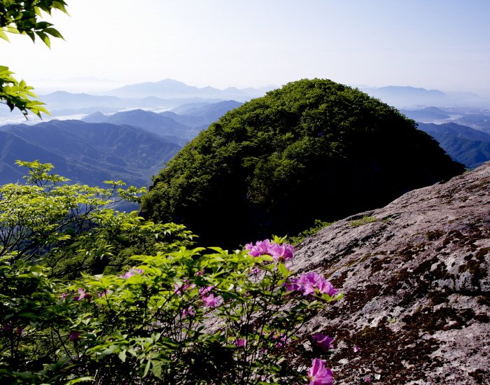 [全羅南道] 白雲山(光陽)(백운산(광양))
