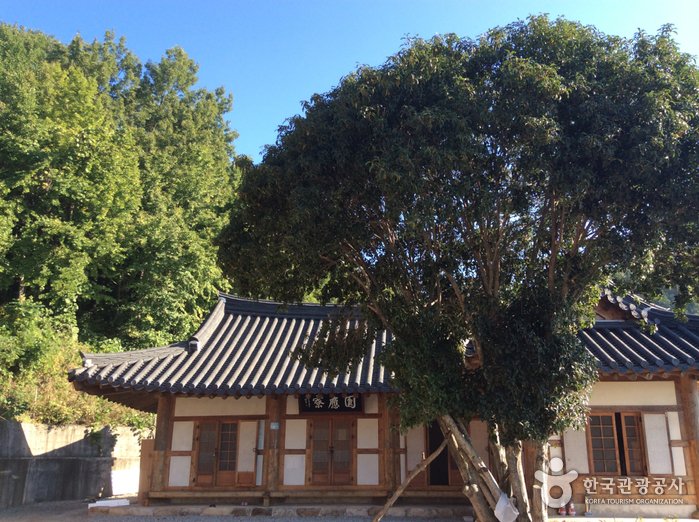 [全羅南道] 興輪寺(順天)(흥륜사(순천))