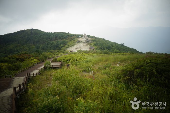 [全羅南道] 智異山國立公園(老姑壇)(지리산국립공원(지리산 노고단))