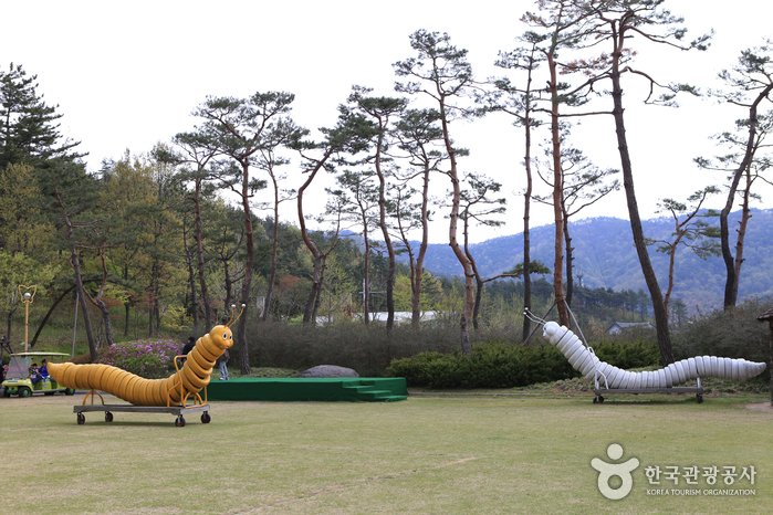 [全羅南道] 咸平自然生態公園(함평 자연생태공원)